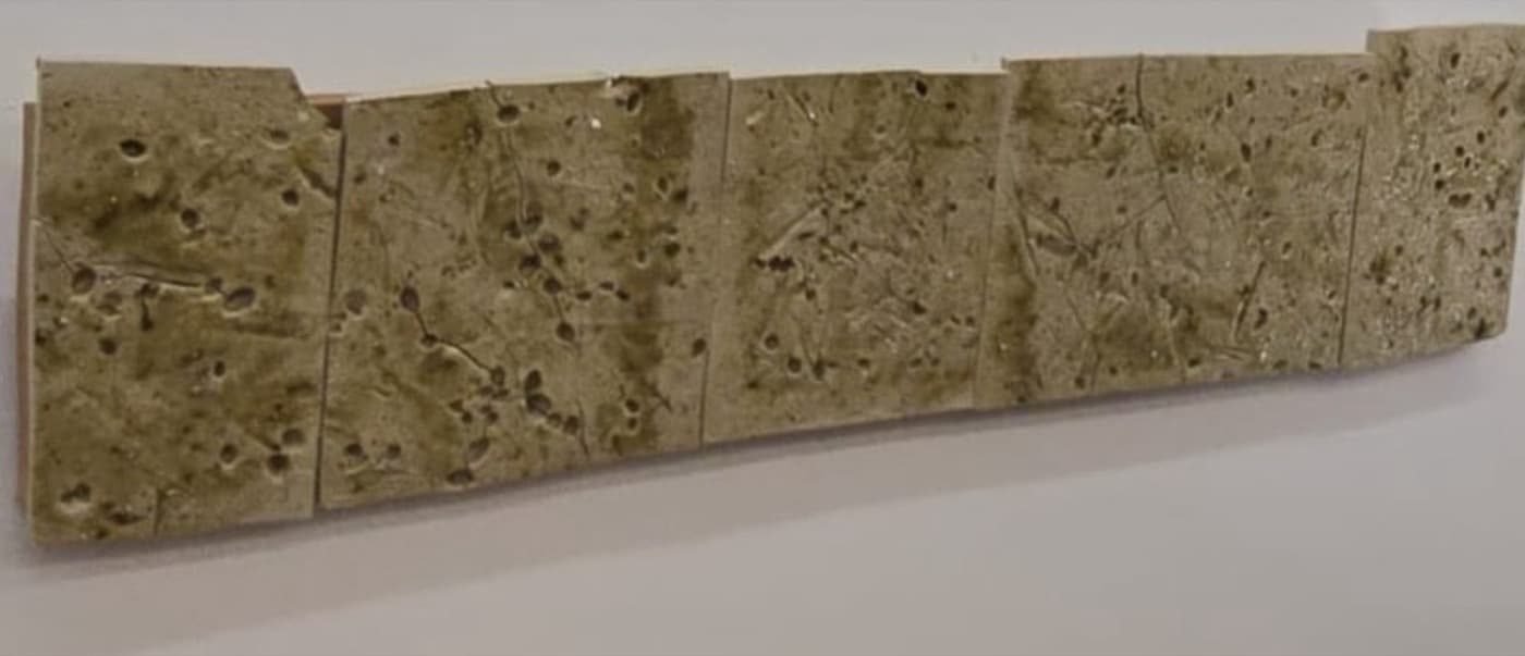 Placas de refractario con textura de corteza de olivo